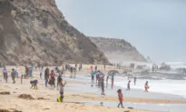 Fun Things to Do in Orange County This Weekend