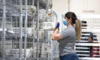 Permanent Vote-by-Mail Elections ‘Reckless’ Move, Says Watchdog Group