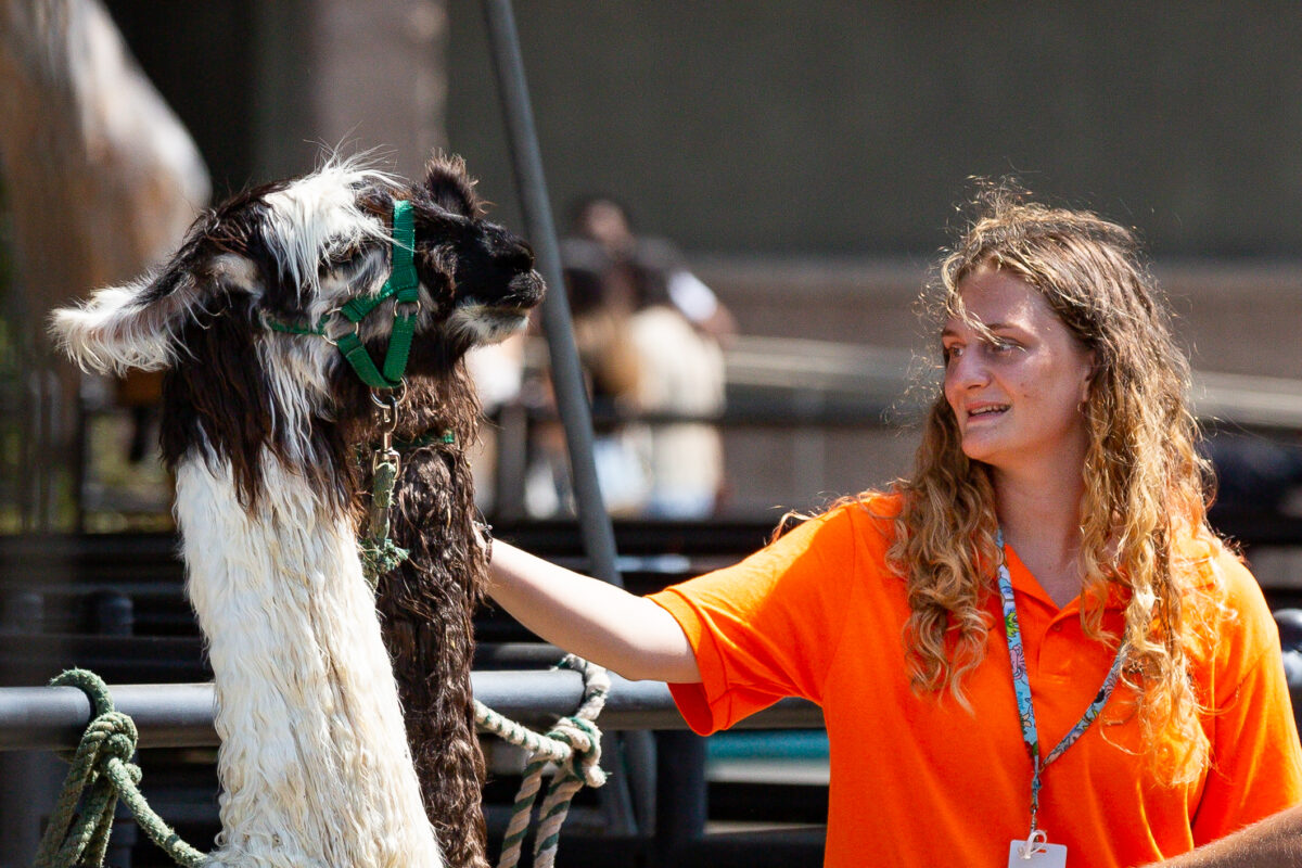 NextImg:Orange County Fair and Event Center to Hire Over 1,000 Seasonal Employees