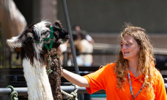 Orange County Fair and Event Center to Hire Over 1,000 Seasonal Employees