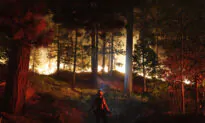 California Fire Approaches Lake Tahoe After Mass Evacuation