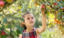 Healthiest Produce That’s in Season