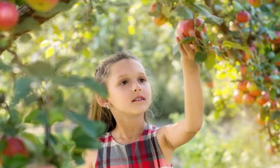 Healthiest Produce That’s in Season