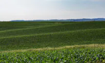 Iowa Farm Services Firm: Systems Offline Due to Cybersecurity Incident