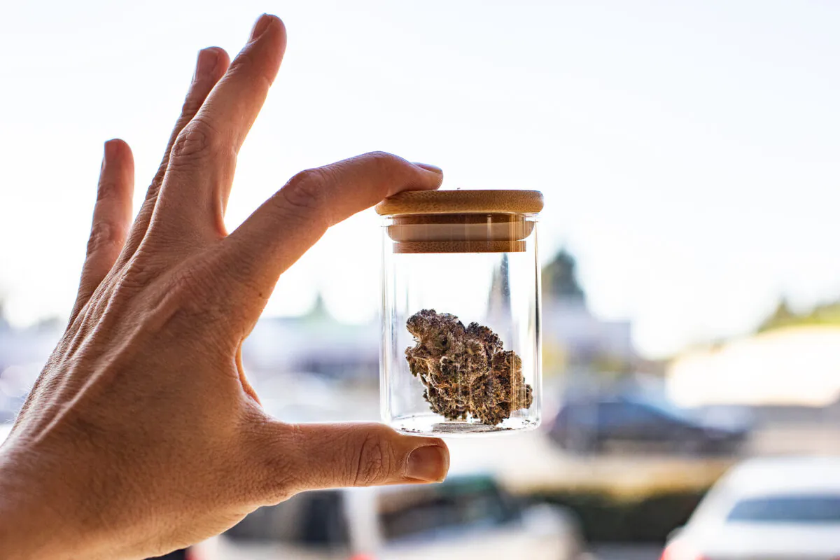 A cannabis sample in Santa Ana, Calif., on Feb. 18, 2021. (John Fredricks/The Epoch Times)