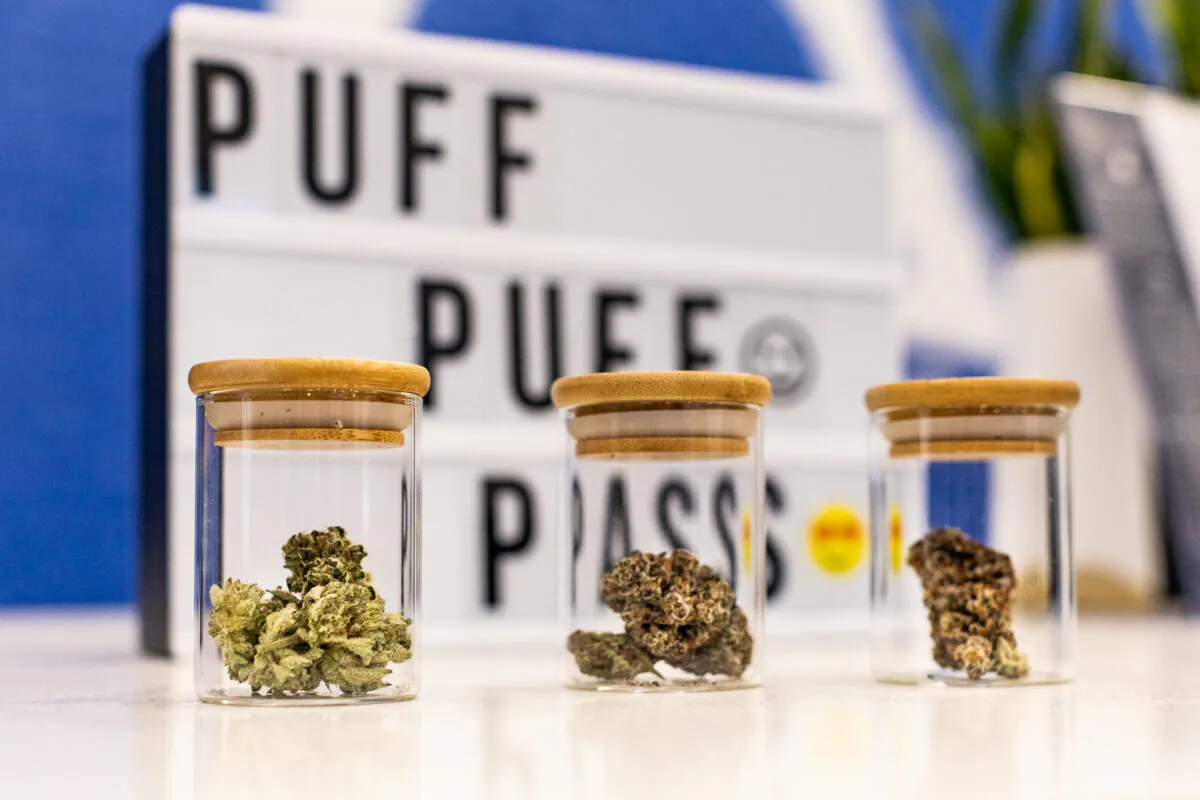 Catalyst Cannabis Company in Santa Ana, Calif., on Feb. 18, 2021. (John Fredricks/The Epoch Times)