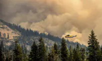 Biden Issues Emergency Declaration in California Over Caldor Fire