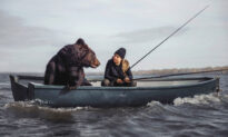 Russian Woman Befriends Bear That She Rescued From Safari Park, Now They Go Fishing Together