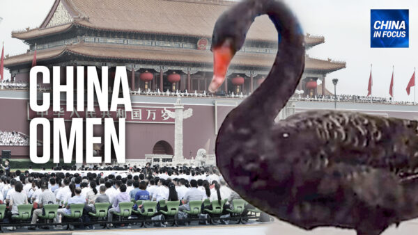 Black Swan Visits Beijing’s Tiananmen Square