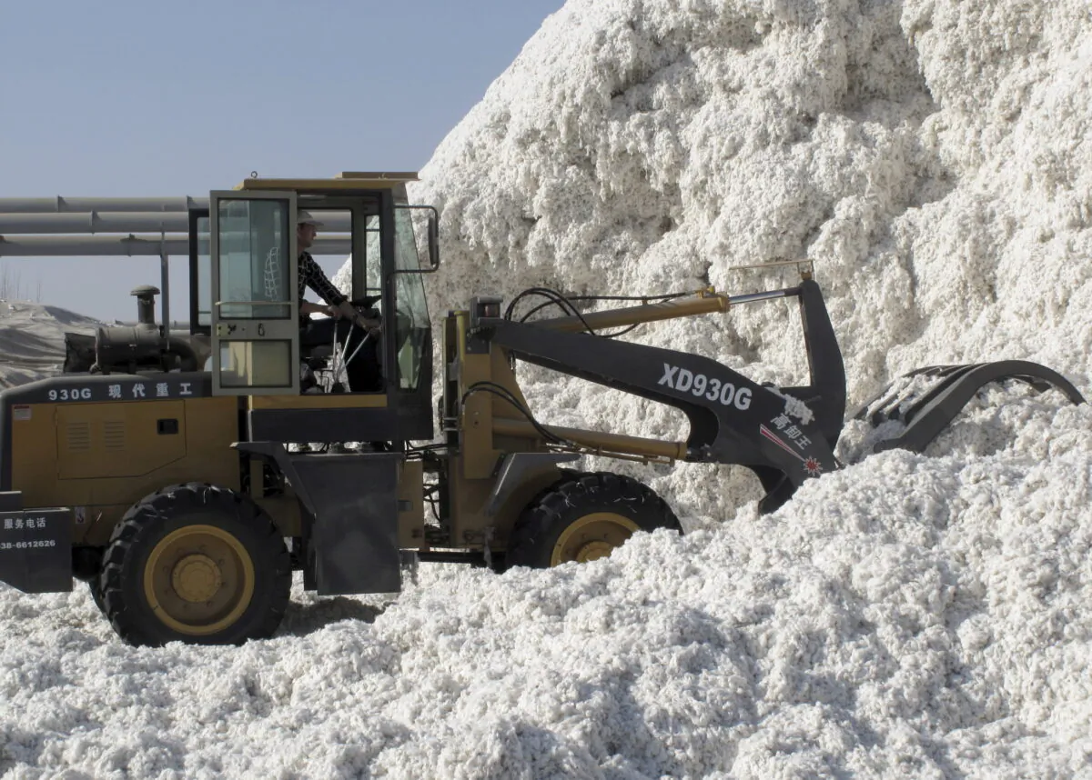 A worker moves freshly harvested cotton at a processing plant in Aksu, Xinjiang Uighur Autonomous Region, China, on Dec. 1, 2015. (Dominique Patton/Reuters)