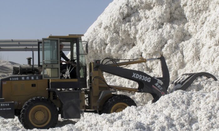 A worker moves freshly harvested cotton at a processing plant in Aksu, Xinjiang Uighur Autonomous Region, China, on Dec. 1, 2015. (Dominique Patton/Reuters)