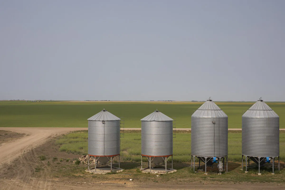 Grain bins are shown in a farm near Gray, Sask., on July 29, 2021. (The Canadian Press/Kayle Neis) 