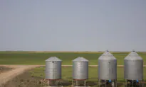 Food Prices, Supply Chains of More Concern for Canadians Than Pre-Pandemic: Agri-Food Expert