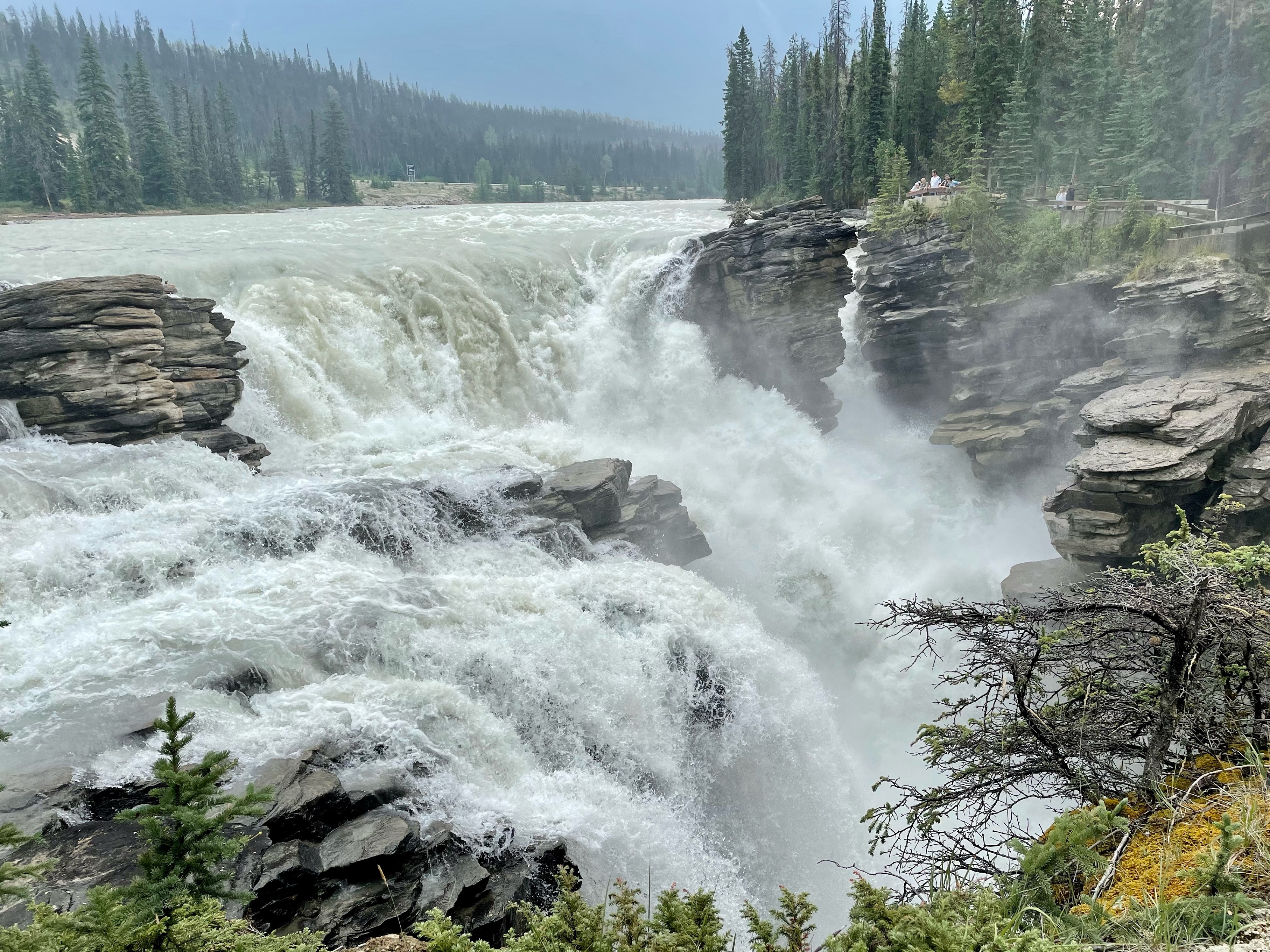 Athabaska Falls