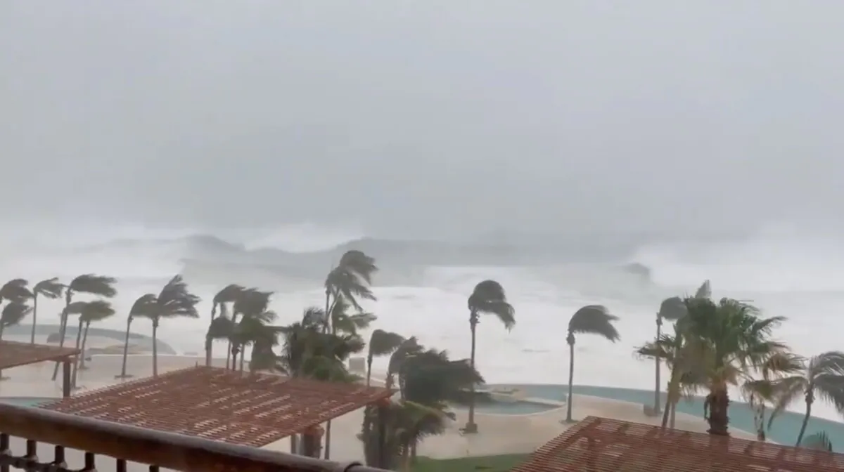 Trees sway amidst heavy rain as Hurricane Olaf sweeps through Cabo San Lucas, Baja California, Mexico, in this still image taken from a social media video on Sept. 9, 2021. (Dominique Torres Williams/via Reuters)