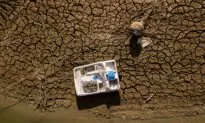 Drought Has Farmworkers Dreaming of Escape From California’s Breadbasket
