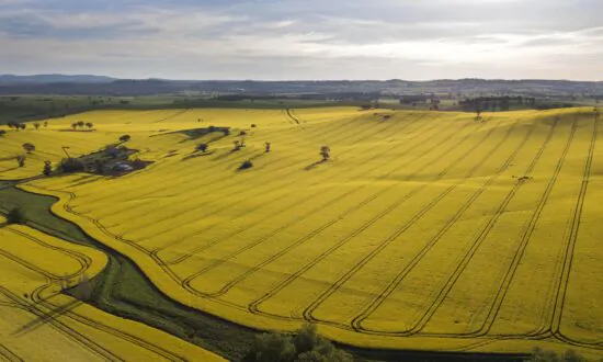 Drier Conditions to Drive Down Agricultural Production