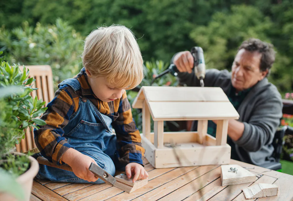 In addition to just providing a birdhouse as a breeding home for local birds, consider what else birds will need to survive and raise their families. (Halfpoint/Shutterstock)