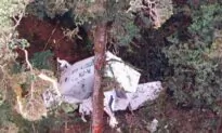 Small Plane Crashes in Indonesia’s Papua; 3 Crew Found Dead