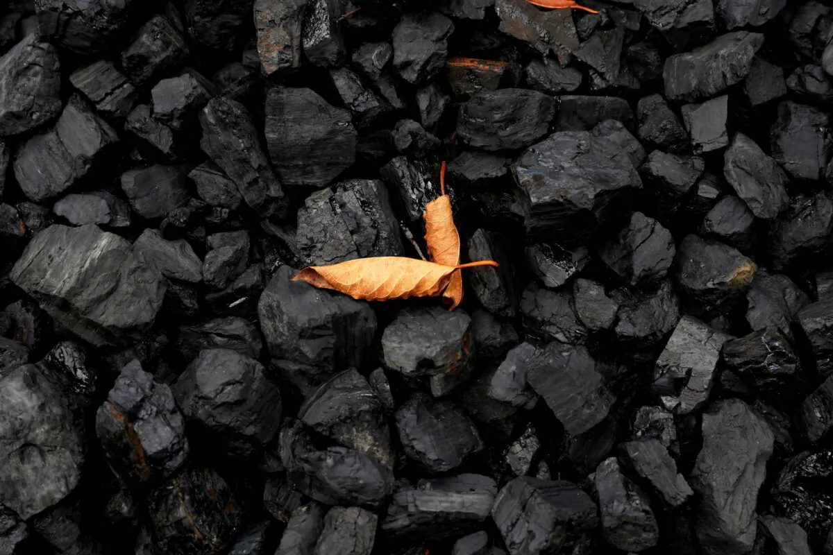 A leaf sits on top of a pile of coal in Youngstown, Ohio, on Sept. 30, 2020. (Shannon Stapleton/Reuters)