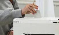 Election Panel: The Final Push