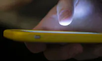 Americans Have Little Trust in Online Security: AP-NORC Poll