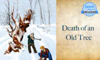 Ancient Tales of Wisdom: Death of an Old Tree