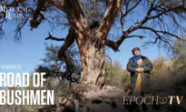 The Road of Bushmen