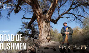 The Road of Bushmen