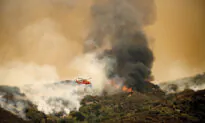 California Wildfires Threaten Old-Growth Sequoias in Sierra Nevada