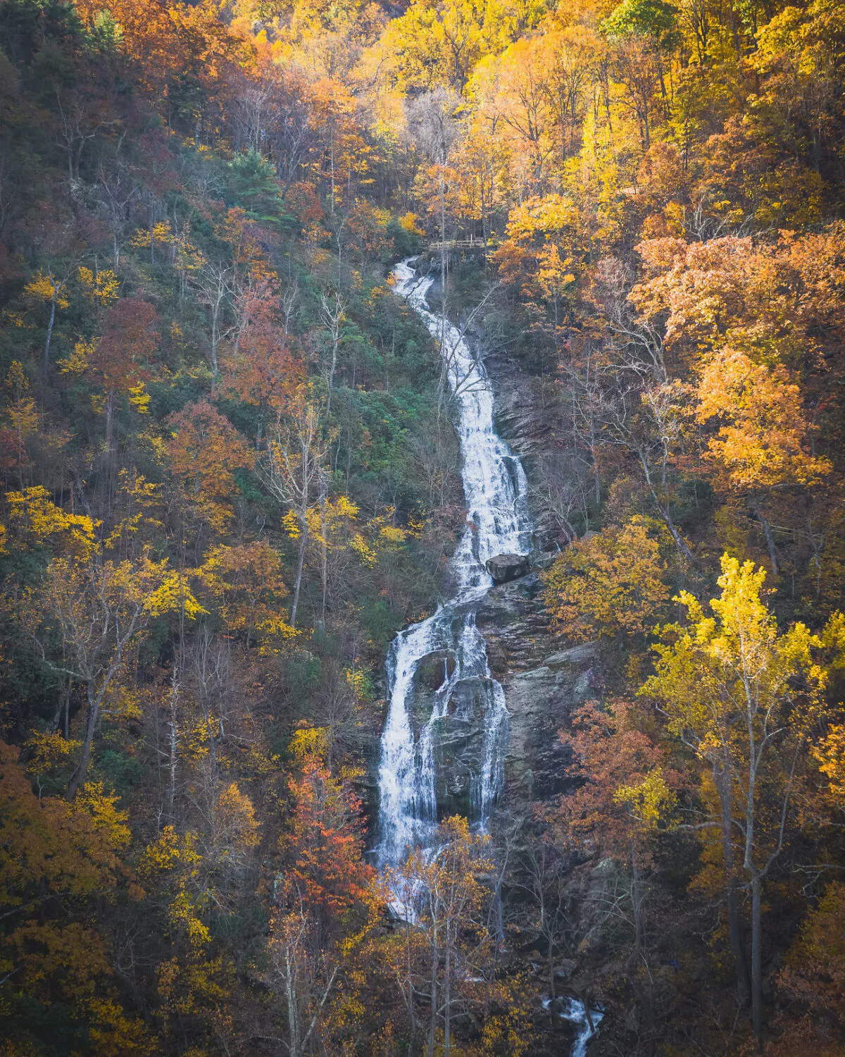 Cool water splashes and tumbles down 1,200 feet at Crabtree Falls in Nelson County, Va. (Courtesy of Virginia Tourism Corp.)
