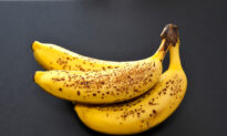 Banana Freckle Outbreak Grows in NT