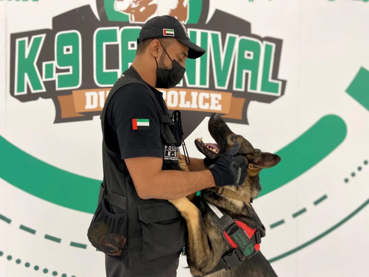 A dog that has been trained by Dubai Police K-9 unit to sniff out COVID-19 looks at his trainer in Dubai, United Arab Emirates, on Sept. 13, 2021. (Abdel Hadi Ramahi/Reuters)