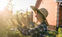 How to Live Intentionally