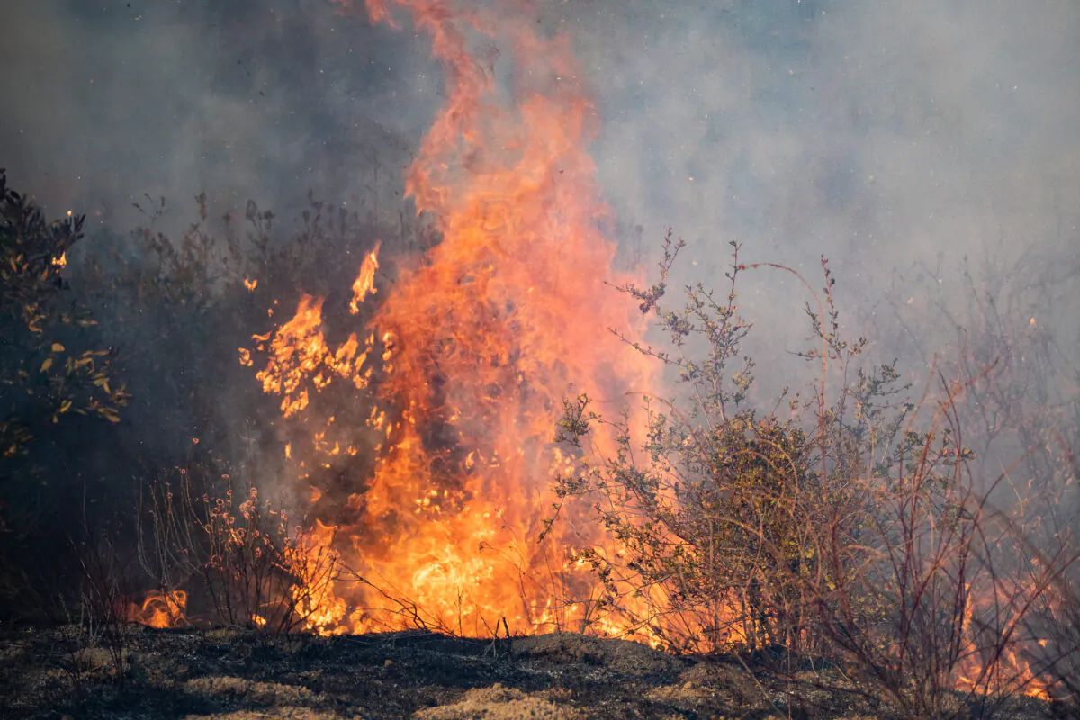 Firefighters respond to the Bond Fire in Trabuco Canyon, Calif., on Dec. 5, 2020. (John Fredricks/The Epoch Times)
