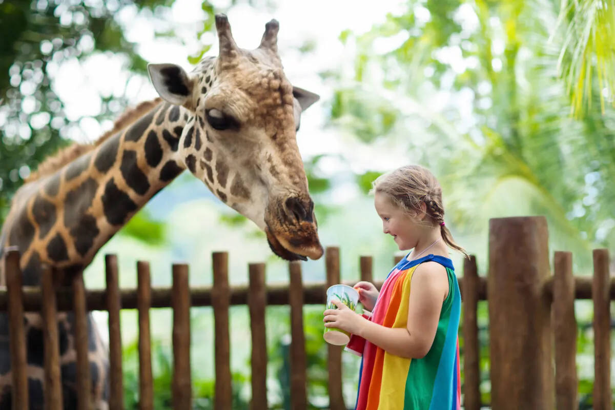A hybrid homeschool affords great flexibility to incorporate out-of-the-ordinary activities, such as field trips, on a regular basis. (Farm Veld/Shutterstock)