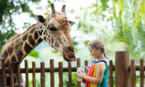 5 Homeschooling Tips From a Successful Pioneer