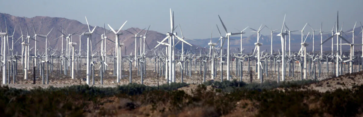 A windfarm near Palm Springs, Calif., on Dec. 30, 2006. (Gabriel Bouys/AFP via Getty Images)