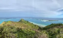Genetic Study Reveals How Ancient Seafarers Settled Vast Polynesia