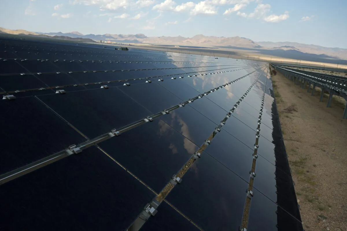 Solar panels are seen at the Desert Stateline project near Nipton, Calif., on Aug. 16, 2021. (Bridget Bennett/Reuters)