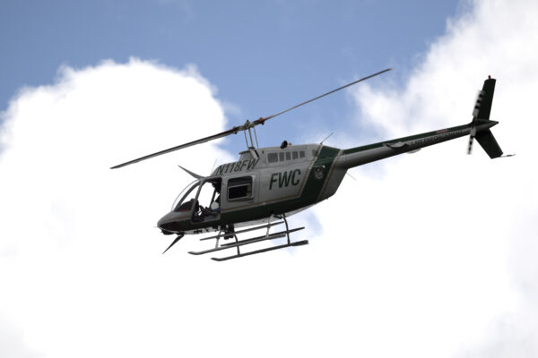 search for Brian Laundrie