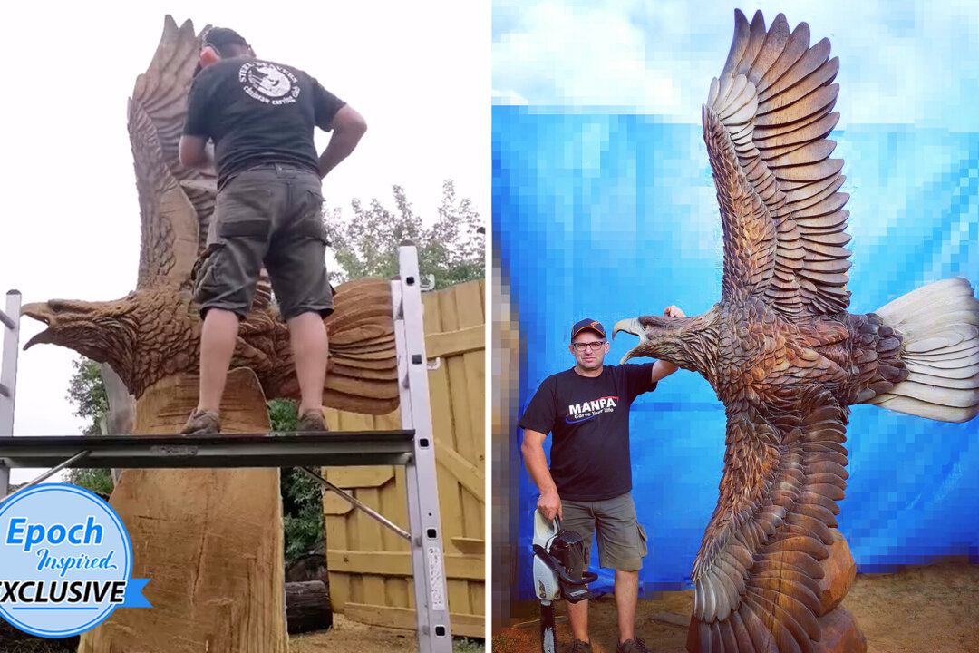Lithuanian Chainsaw Artist Carves Huge Eagle Spreading Its Wings in Flight out of Logs