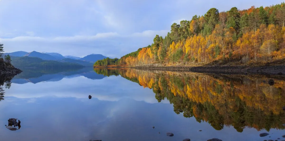 Glen Affric in the Scottish Highlands, which is a part of a rewilding project, in an undated file photo. (Grant Willoughby/Trees for Life/PA)