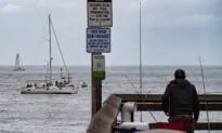Woman Rescued From Car in Newport Beach Waters After Driving Off Dock