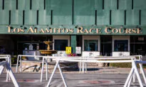 Horse Dies After Race at Los Alamitos; 2nd Death in Last 4 Days