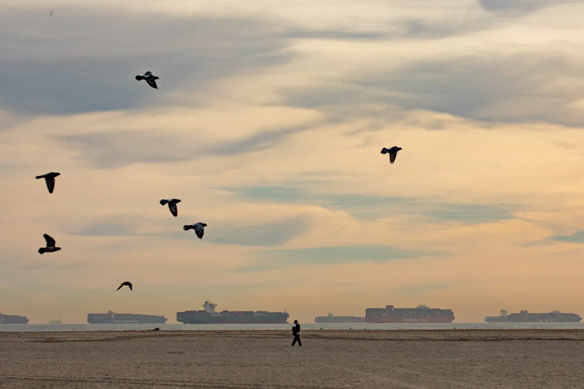 Ships line the horizon seen from Seal Beach, Calif., as they wait to come ashore to the Port of Los Angeles, on Jan. 12, 2021. (John Fredricks/The Epoch Times)