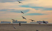 Los Angeles Cargo Ship Backlog Peaks, Supply Chain Issues to Last for Months