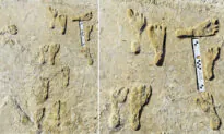 Oldest Human Footprints in North America Found in New Mexico