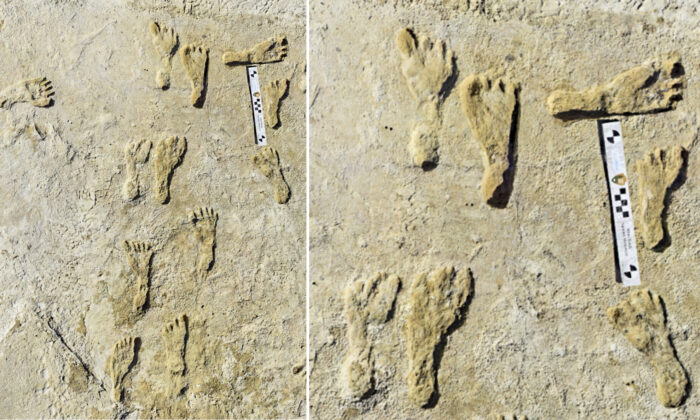 Oldest Human Footprints In North America Found In New Mexico | The ...