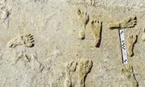 South African Human Fossils More Than a Million Years Older Than Previously Thought